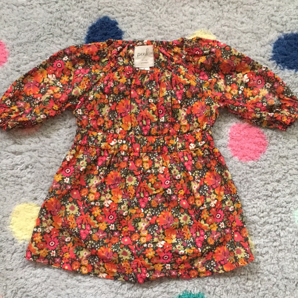 Peek Brand baby dress beautiful! Size 3-6months